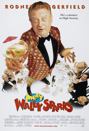 Meet Wally Sparks - poster (thumbnail)