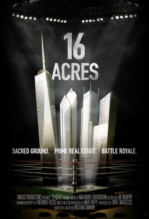 16 Acres - Movie Poster (thumbnail)