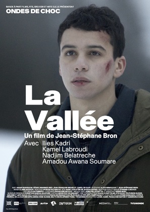 La vall&eacute;e - Swiss Movie Poster (thumbnail)