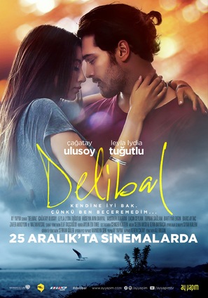 Delibal - Turkish Movie Poster (thumbnail)