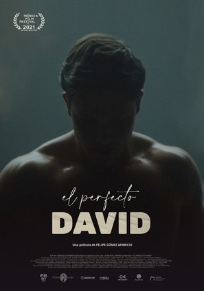 El perfecto David - Argentinian Movie Poster (thumbnail)