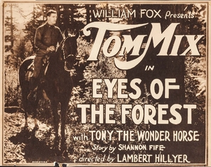 Eyes of the Forest - Movie Poster (thumbnail)