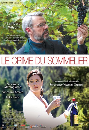 Vino dentro - French Movie Poster (thumbnail)