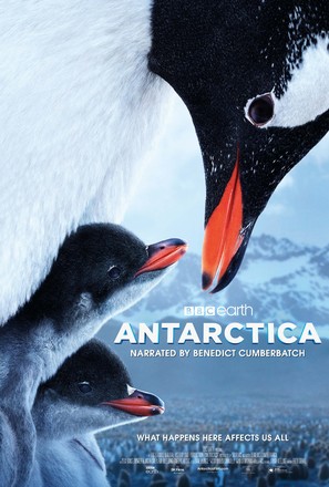 Antarctica - British Movie Poster (thumbnail)