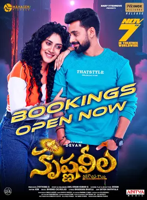 Krishna Leela Poster