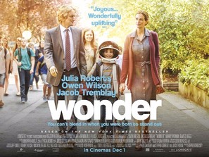 Wonder - British Movie Poster (thumbnail)