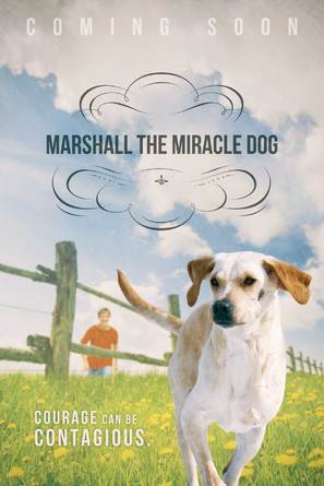 Marshall the Miracle Dog - Movie Poster (thumbnail)