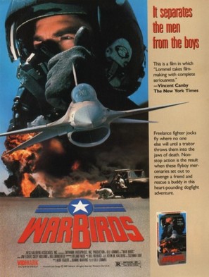 Warbirds - Movie Poster (thumbnail)
