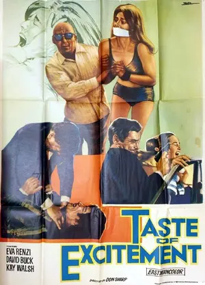 A Taste of Excitement Poster