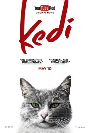 Kedi - Movie Poster (thumbnail)