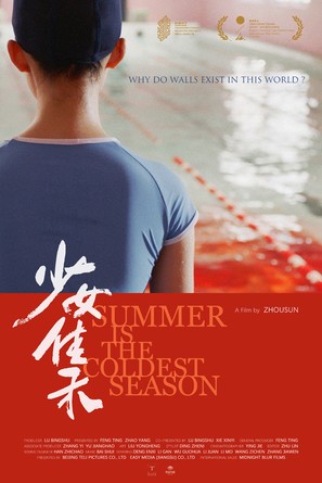 Becoming Li Jiahe - Chinese Movie Poster (thumbnail)