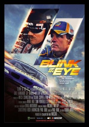 Blink of an Eye - Movie Poster (thumbnail)