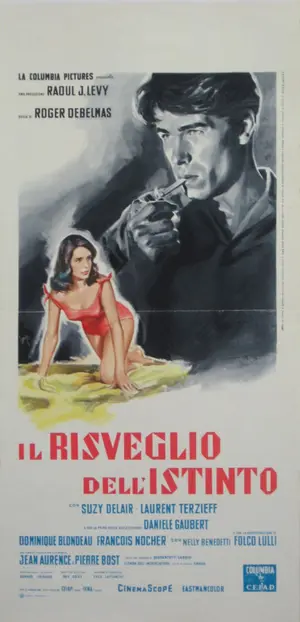 Les régates de San Francisco Poster