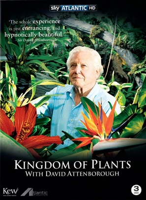 &quot;Kingdom of Plants 3D&quot; - DVD movie cover (thumbnail)