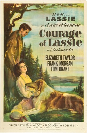Courage of Lassie - Movie Poster (thumbnail)