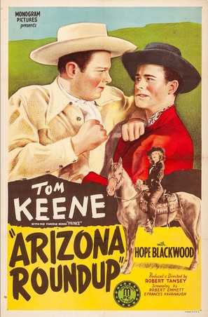 Arizona Roundup - Movie Poster (thumbnail)