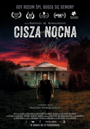 Cisza nocna - Polish Movie Poster (thumbnail)