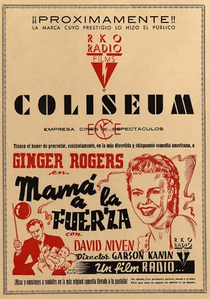 Bachelor Mother Other