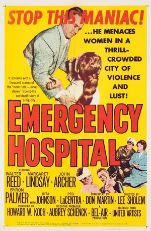 Emergency Hospital Poster