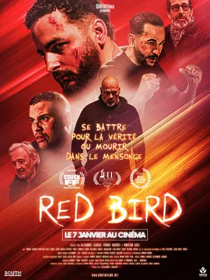 Red bird Poster