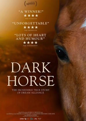 Dark Horse - British Movie Poster (thumbnail)