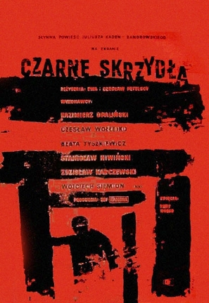 Czarne skrzydla - Polish Movie Poster (thumbnail)