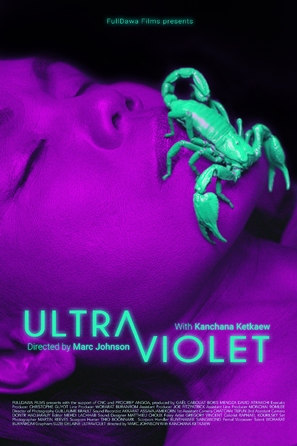 Ultraviolet - French Movie Poster (thumbnail)