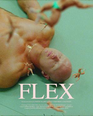 Flex - Swedish Movie Poster (thumbnail)