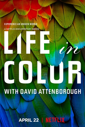 Life in Colour - British Movie Poster (thumbnail)