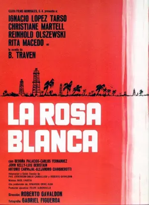 Rosa blanca Poster
