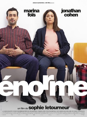 &Eacute;norme - French Movie Poster (thumbnail)