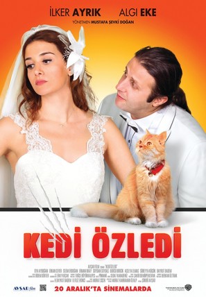 Kedi Ozledi - Turkish Movie Poster (thumbnail)