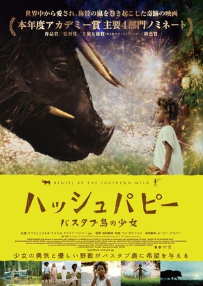 Beasts of the Southern Wild - Japanese Movie Poster (thumbnail)