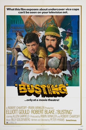 Busting - Movie Poster (thumbnail)