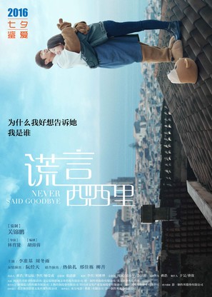 Never Said Goodbye - Chinese Movie Poster (thumbnail)