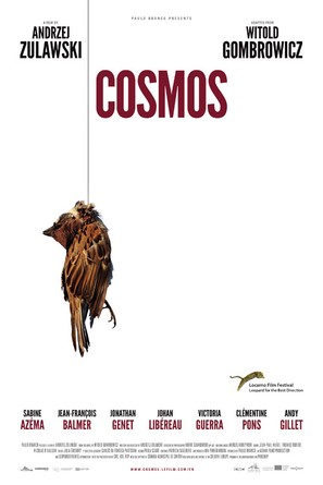 Cosmos - French Movie Poster (thumbnail)