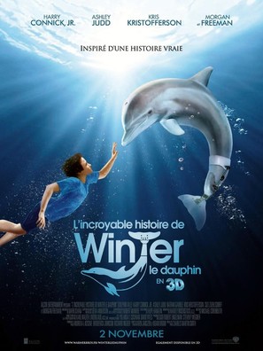 Dolphin Tale - French Movie Poster (thumbnail)