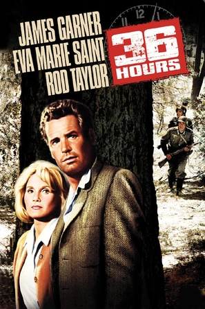 36 Hours - DVD movie cover (thumbnail)