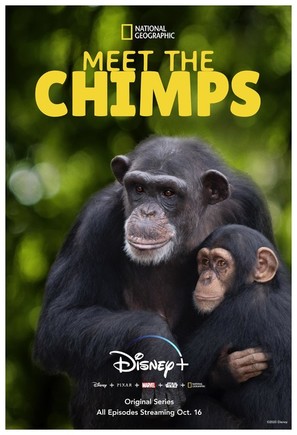 &quot;Meet the Chimps&quot; - Movie Poster (thumbnail)