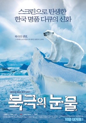 To the Arctic 3D - South Korean Movie Poster (thumbnail)