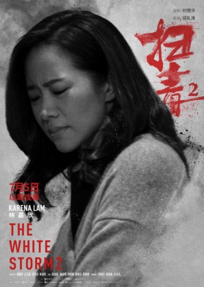 The White Storm 2: Drug Lords - Hong Kong Movie Poster (thumbnail)