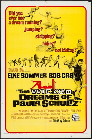 The Wicked Dreams of Paula Schultz - Movie Poster (thumbnail)