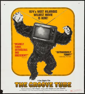 The Groove Tube Poster