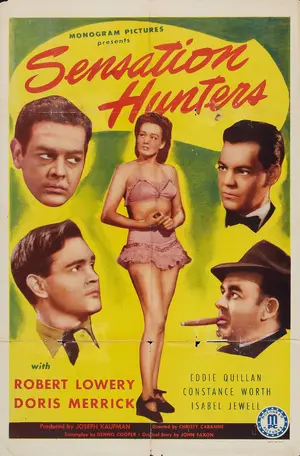 Sensation Hunters - Movie Poster (thumbnail)