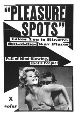 Pleasure Spots - Movie Poster (thumbnail)