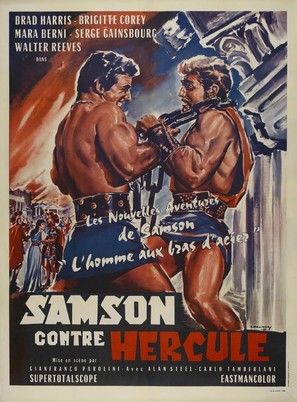 Sansone - French Movie Poster (thumbnail)
