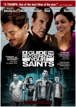 A Guide to Recognizing Your Saints - DVD movie cover (thumbnail)