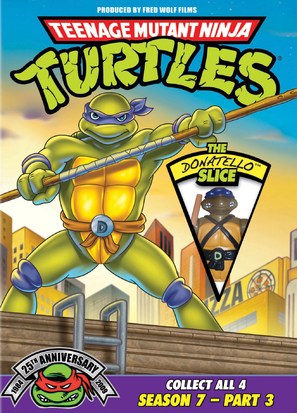 &quot;Teenage Mutant Ninja Turtles&quot; - DVD movie cover (thumbnail)