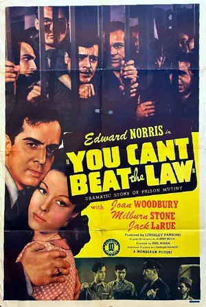You Can't Beat the Law Poster