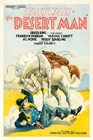 Desert Man - Movie Poster (thumbnail)